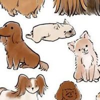 動物LOVEの人集まれ~