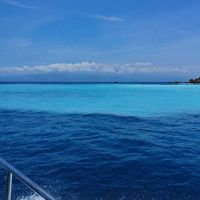 公主888號娛樂船 海鮮/船釣/觀光！