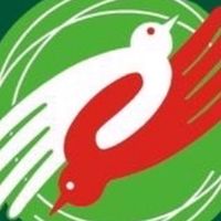 南投草屯房地產好康報報