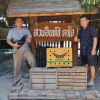 ซุ้ม ป.ปฎิพงษ์ ชัยฟาร์ม  สายเลือดสวนอินทัช 100%
