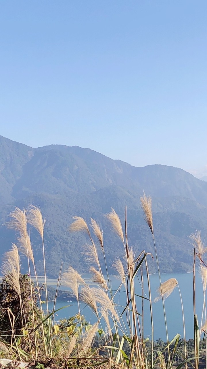 東方瑞士B棟住戶社群