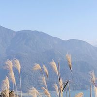 東方瑞士B棟住戶社群