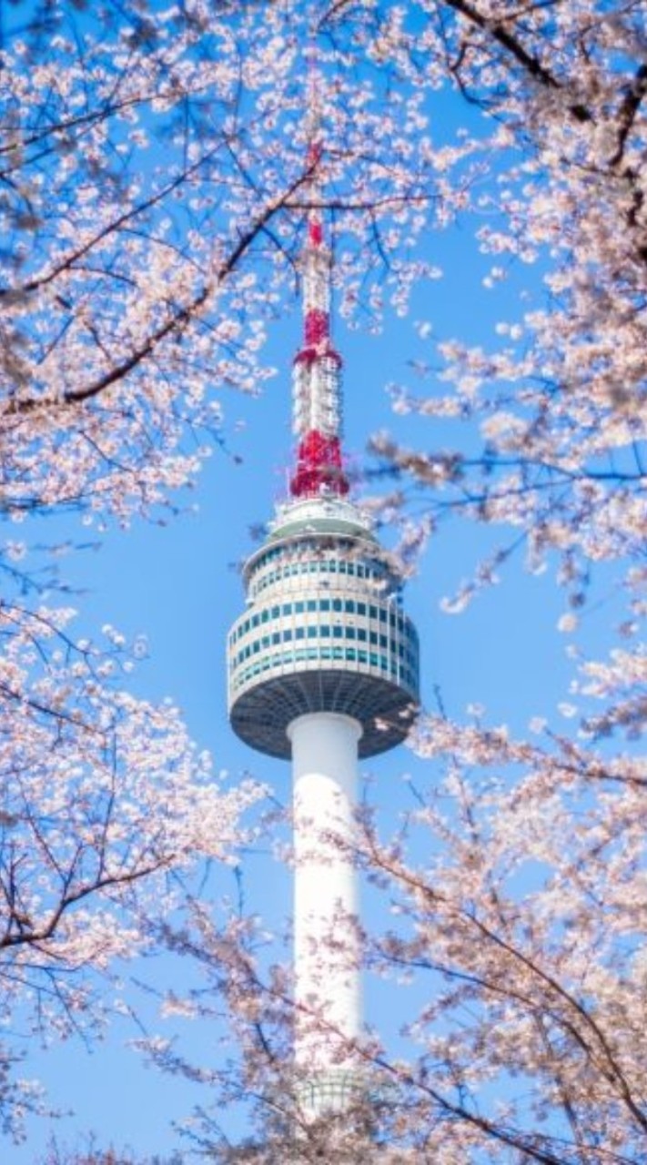 海莉臨時起意去韓國代購