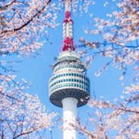 海莉臨時起意去韓國代購