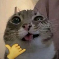 球塔防禦交易聊天群/單位租借/帶刷/分享