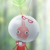 🌱旗美Pikmin Bloom🍄