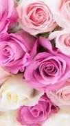 ♯楽しく雑談、♯歌って☕️ライブトーク🎤シニアさん話そうよ🌹🌹