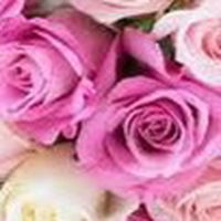 ♯楽しく雑談、♯歌って☕️ライブトーク🎤シニアさん話そうよ🌹🌹