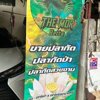 ปลากัดป่านนทบุรี by เดอะมอ