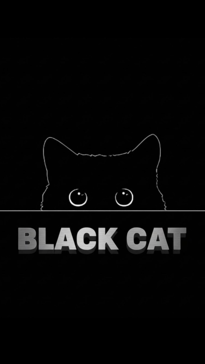 BLACK CAT
