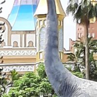 動物園