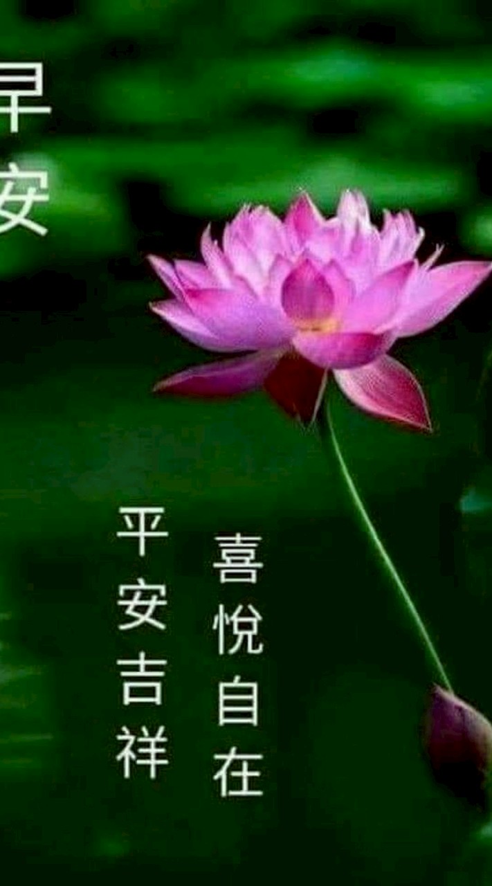 宜蘭