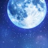 まほやく🌙なりきりオプ