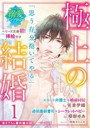 【ベリーズ文庫溺愛アンソロジー】極上の結婚
