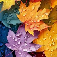 🌈楽しい集い🌈