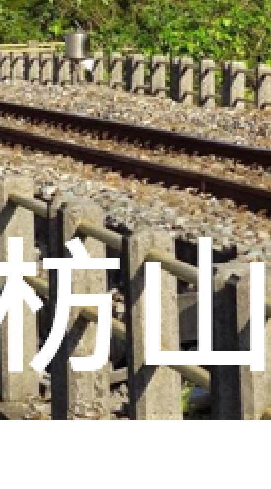 我是枋山人