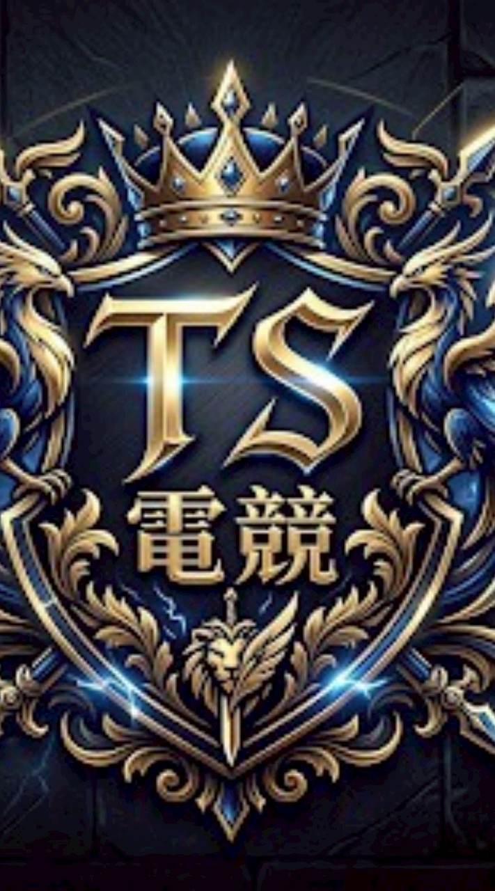 TS打手群