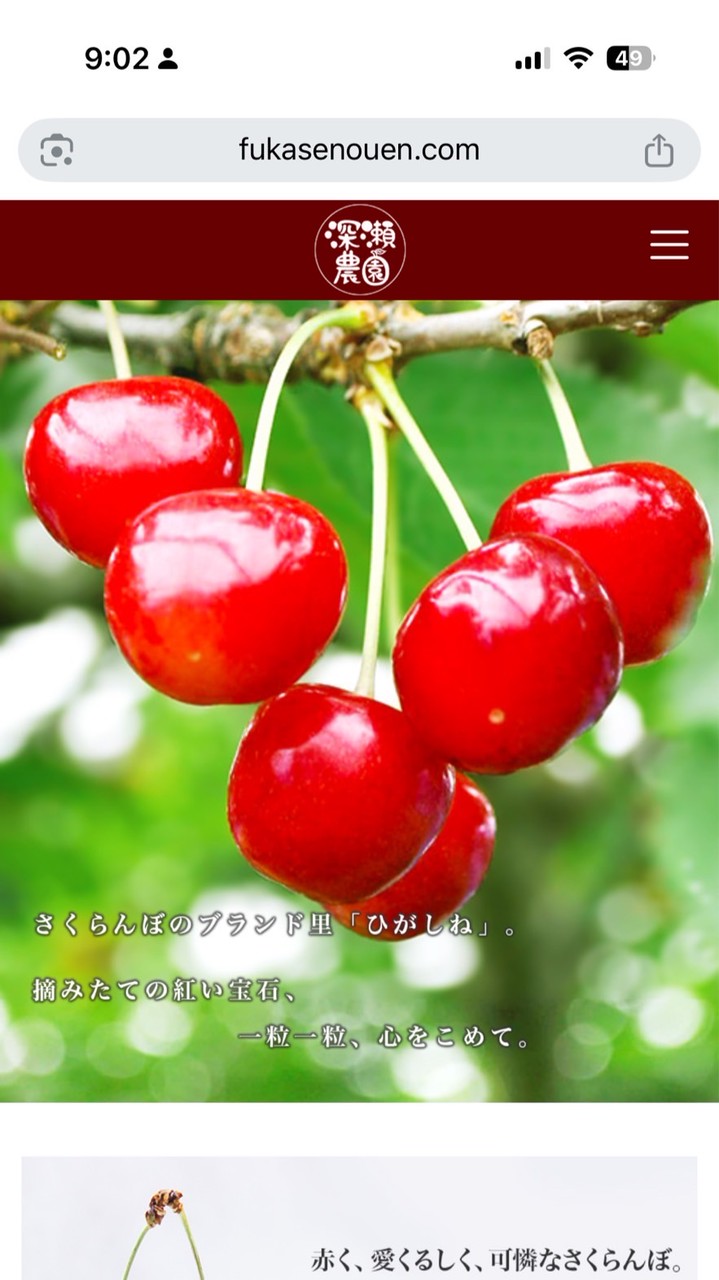 深瀬農園さくらんぼ隊🍒