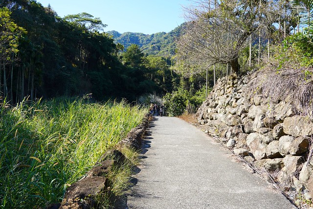 新社梅花隧道