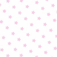 ݁ 𓋰̵͙agent 𓂂ִֺ♡  ݁ Pimbamaiy †