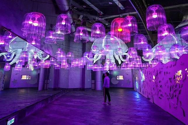 ▲圖片來源：IG@beckhamhong66