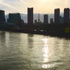 ★発達障害/知的障害の親をもつ子供の部屋