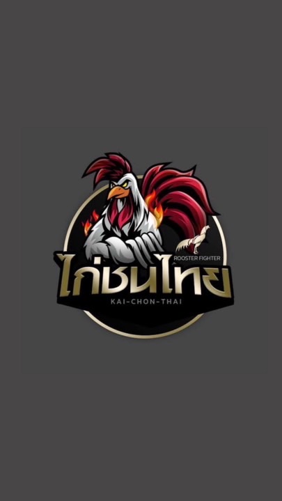 🐔 หาคู่ ปล้ำคัดไก่ชน 🐔 “สนามไก่ชนดาวพูลโต”🐔