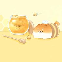 柴柴俱樂部