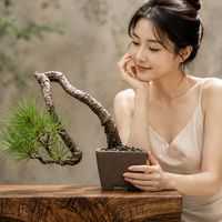 五葉松種植心得討論2021-3