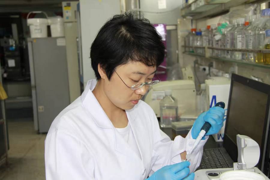 синьхуа 23 человека