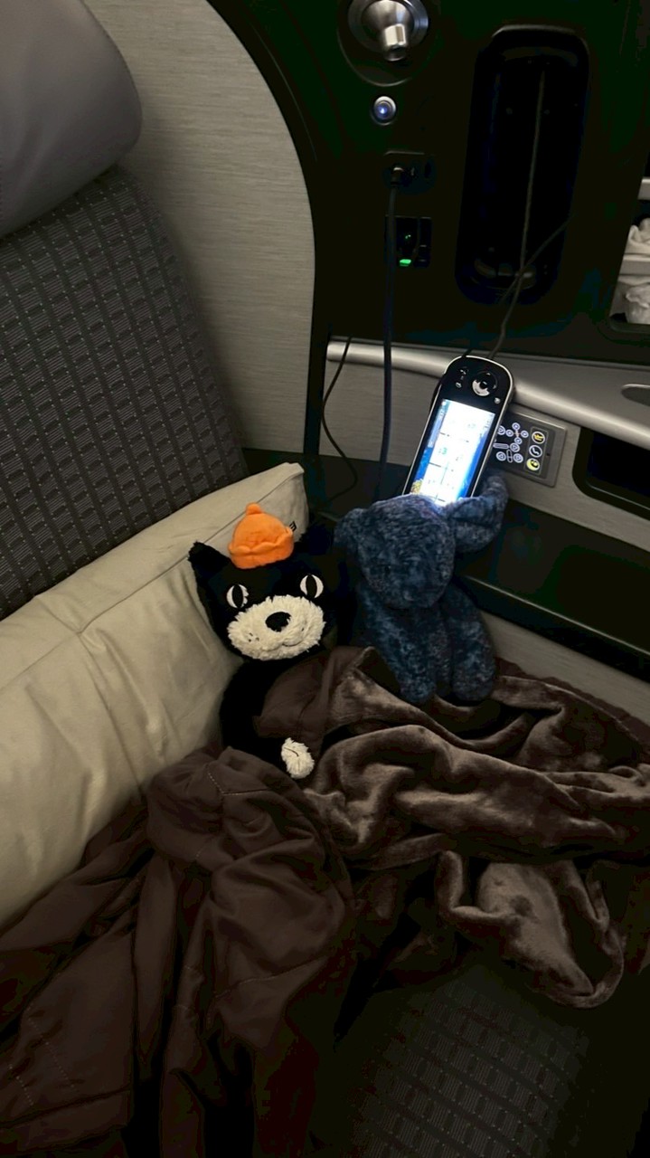 小貝瑞旅行中～2月日本代購