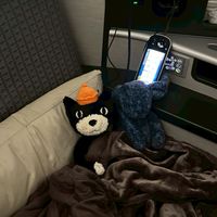 小貝瑞旅行中～2月日本代購