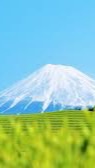 静岡県フリースクールのための全国一斉請願プロジェクト