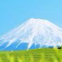 静岡県フリースクールのための全国一斉請願プロジェクト
