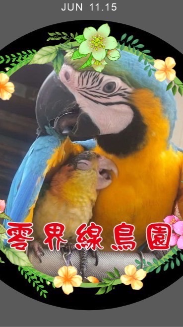 零界線鳥園交流群