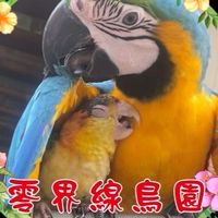 零界線鳥園交流群