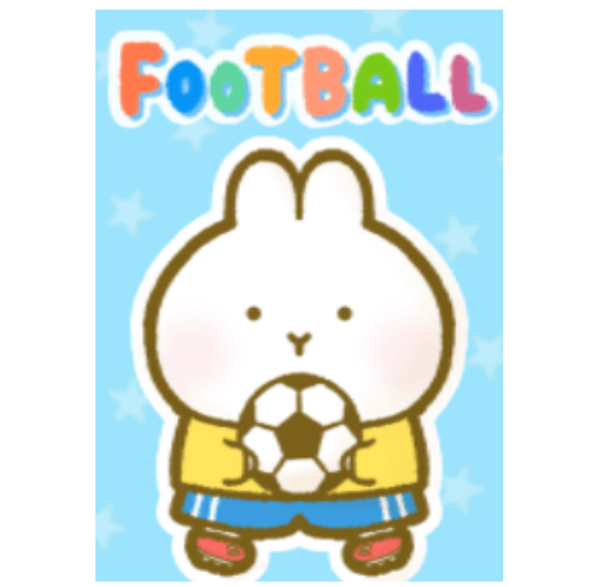 **Rabbit loves Football**
