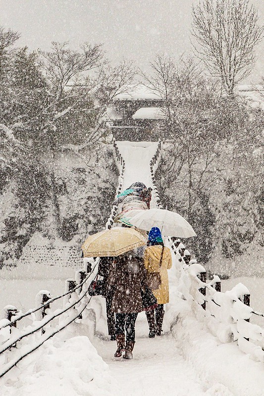 20160120-20160120-IMG_9563