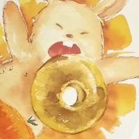 Zi哩哺團代購🐰🍒