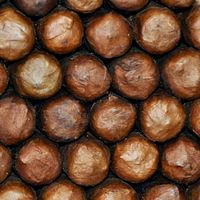 世界雪茄聯盟（WCA）World Cigar Association