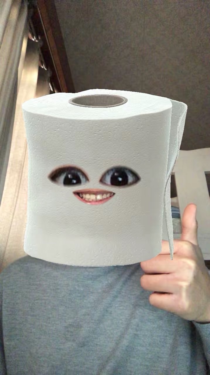 ブレインロットトイレットペーパー再利用