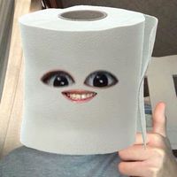 ブレインロットトイレットペーパー再利用
