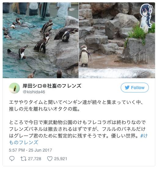 Penguin Jepang Yang Jatuh Cinta Pada Karakter Anime Bisa Tetap Bersama Waifu-nya, Mungkin Untuk Selamanya