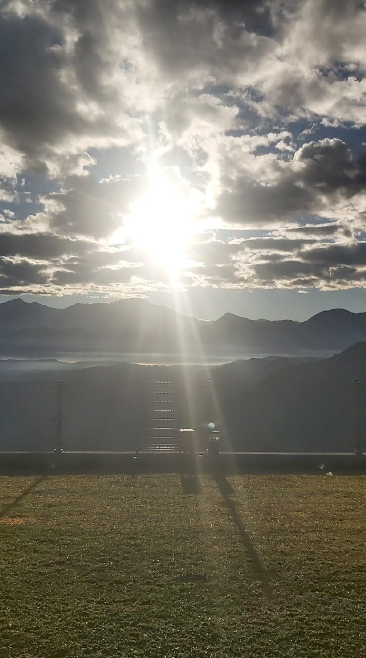 活麗健康團隊