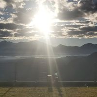 活麗健康團隊