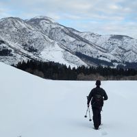 2024年ものずき村の田畑