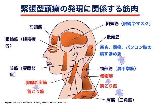 うねりにくい健やかな髪を育むシャンプータイムのコツ 美容賢者の髪コンプレックス解消vol 141