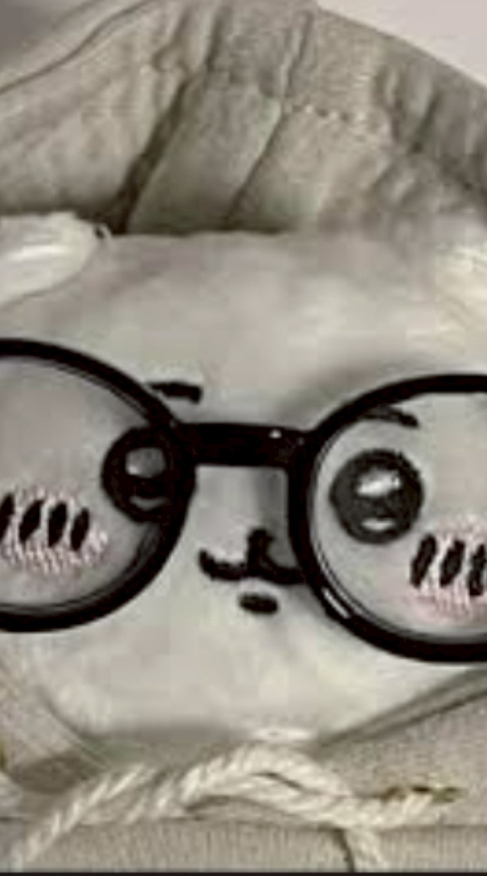 シーー〜〜ル好きな人集まれ〜〜🩵