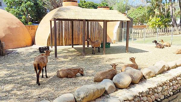 新竹動物園