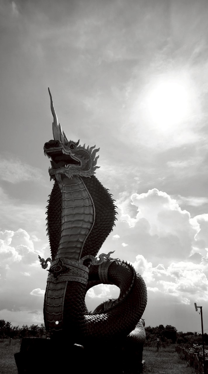 คนเหนือมู